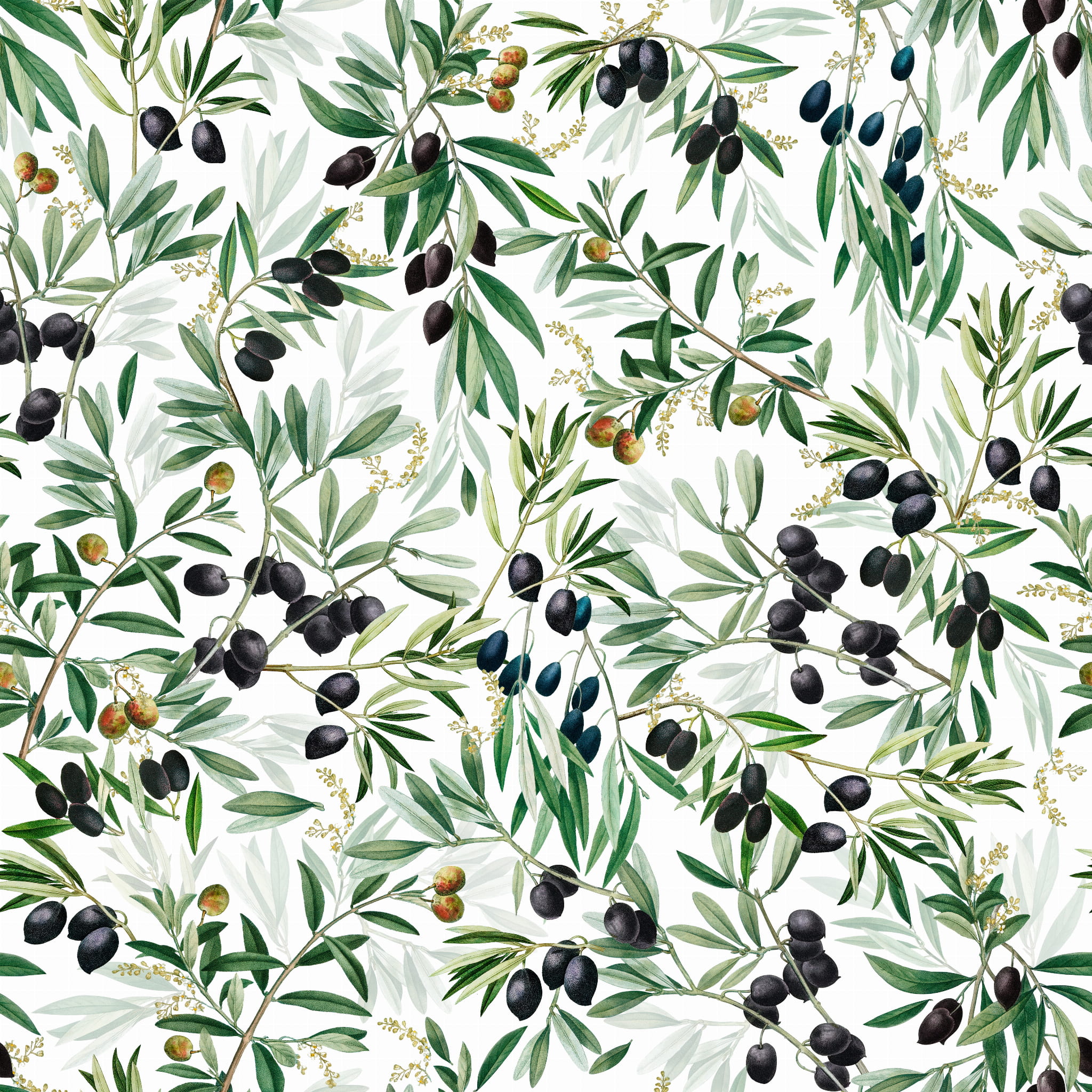 OLIWKI RAPORT 50X50.jpg