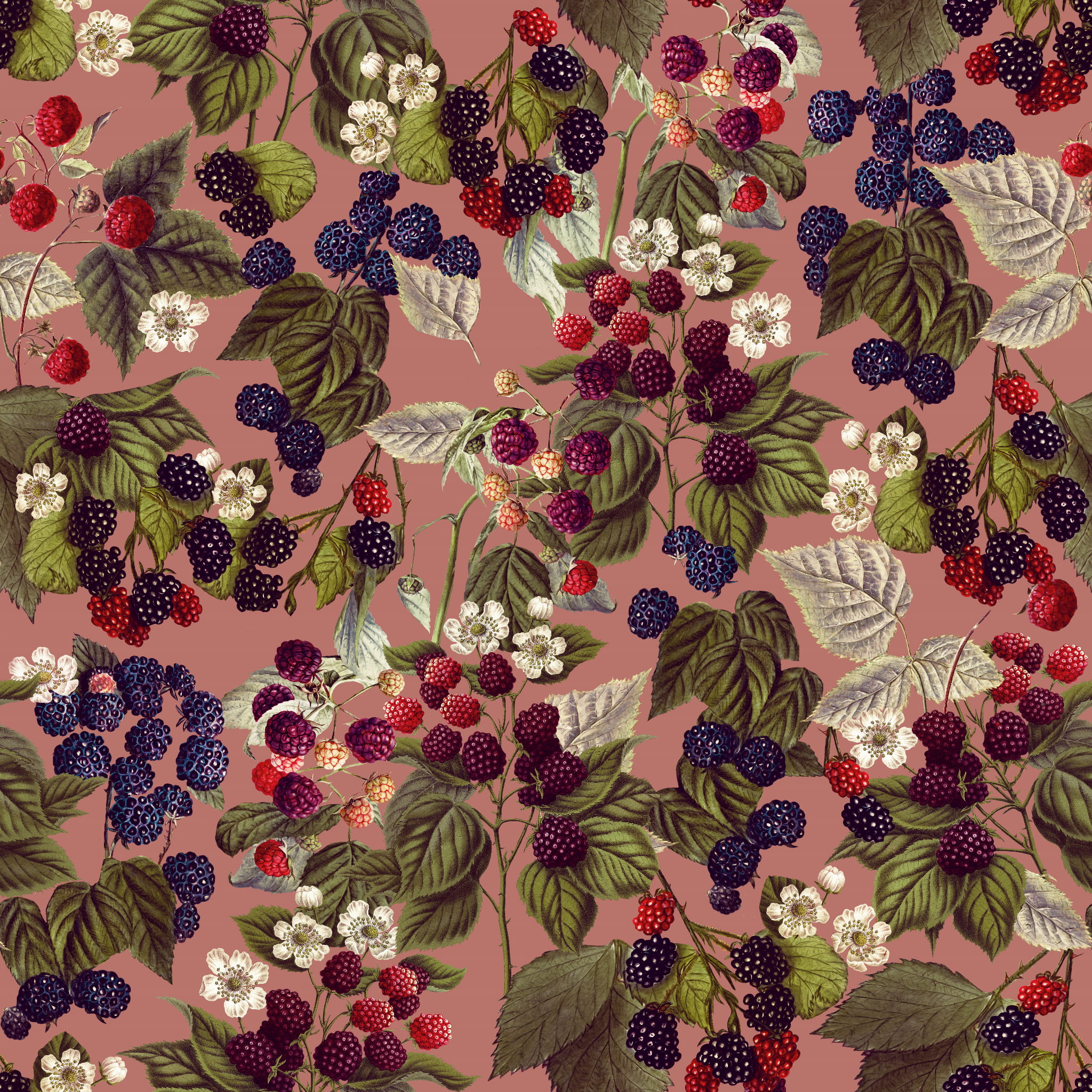 Jeżynki_raport 50x50cm.jpg